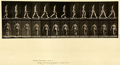 11 - Vol 1 - Plate 28